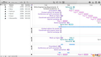 OmniPlan pro 3.5 管理项目计划构建图
